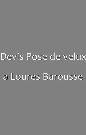 Devis Pose de velux a Loures Barousse