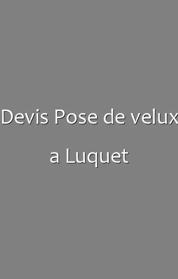 Devis Pose de velux a Luquet