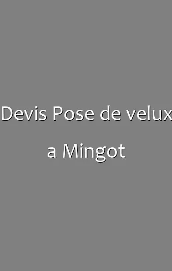Devis Pose de velux a Mingot