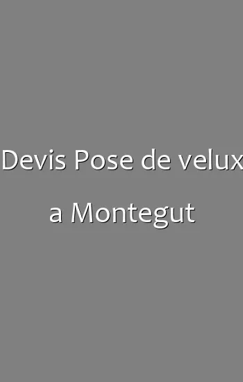Devis Pose de velux a Montegut