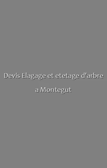 Devis Elagage et etetage d'arbre a Montegut