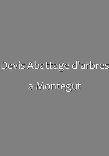 Devis Abattage d'arbres a Montegut
