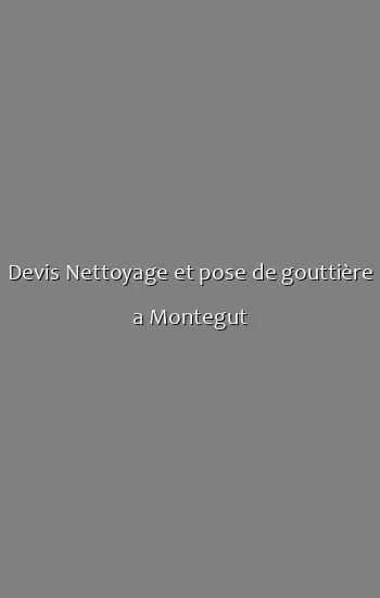 Devis Nettoyage et pose de gouttière a Montegut