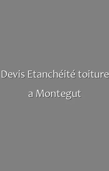 Devis Etanchéité toiture a Montegut