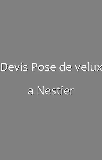 Devis Pose de velux a Nestier