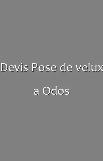 Devis Pose de velux a Odos