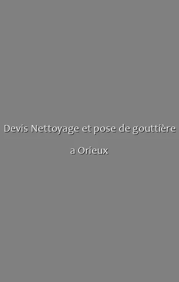 Devis Nettoyage et pose de gouttière a Orieux