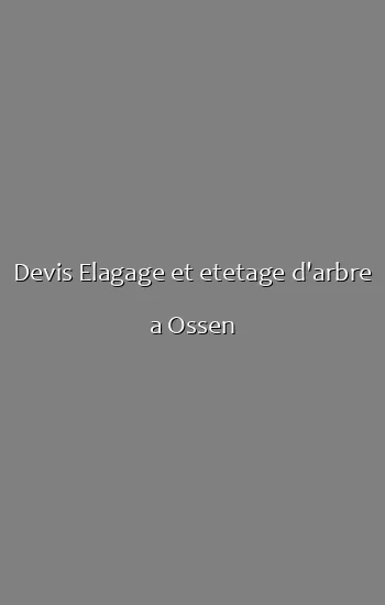 Devis Elagage et etetage d'arbre a Ossen