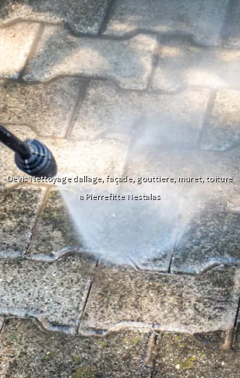 Devis Nettoyage dallage, façade, gouttiere, muret, toiture a Pierrefitte Nestalas