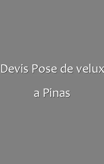 Devis Pose de velux a Pinas