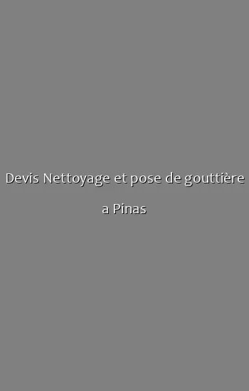Devis Nettoyage et pose de gouttière a Pinas