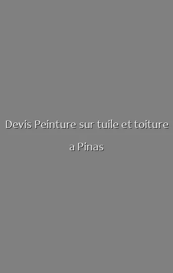 Devis Peinture sur tuile et toiture a Pinas