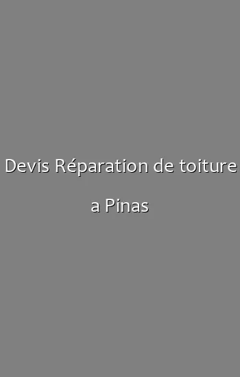 Devis Réparation de toiture a Pinas