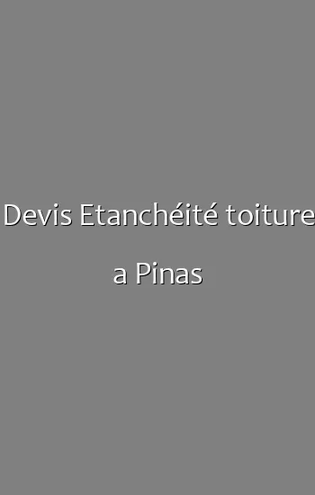 Devis Etanchéité toiture a Pinas