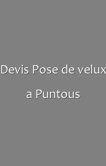Devis Pose de velux a Puntous