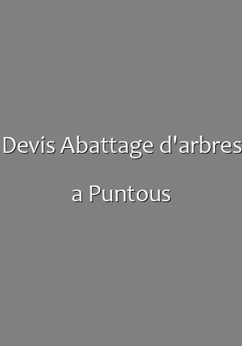 Devis Abattage d'arbres a Puntous