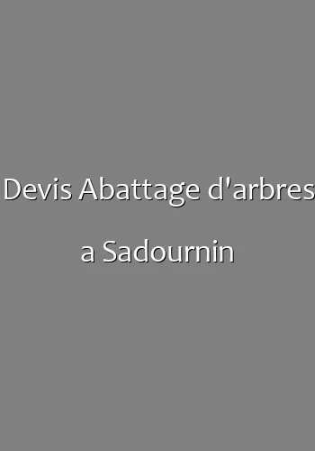 Devis Abattage d'arbres a Sadournin