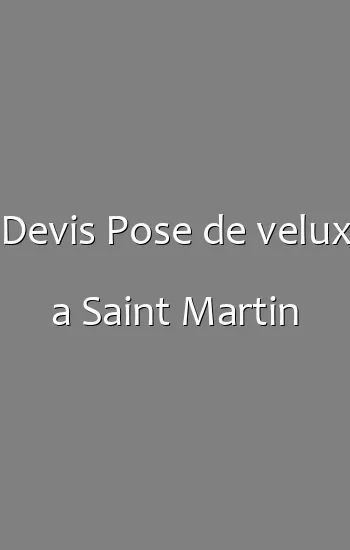 Devis Pose de velux a Saint Martin