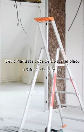 Devis Plaquiste pose de cloison et placo a Saint Pe De Bigorre