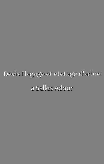 Devis Elagage et etetage d'arbre a Salles Adour