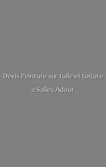 Devis Peinture sur tuile et toiture a Salles Adour