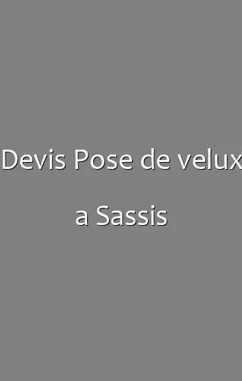 Devis Pose de velux a Sassis