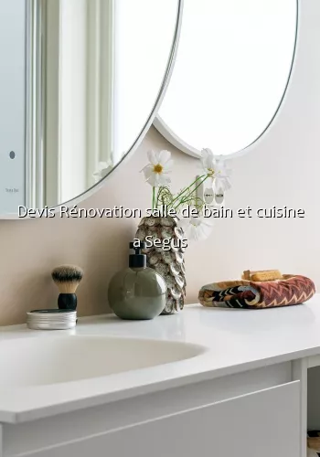 Devis Rénovation salle de bain et cuisine a Segus