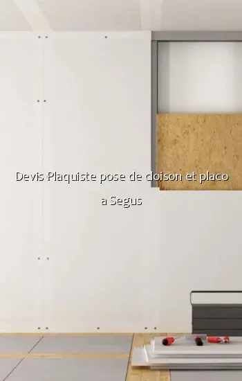 Devis Plaquiste pose de cloison et placo a Segus