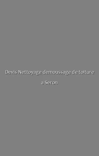 Devis Nettoyage demoussage de toiture a Seron