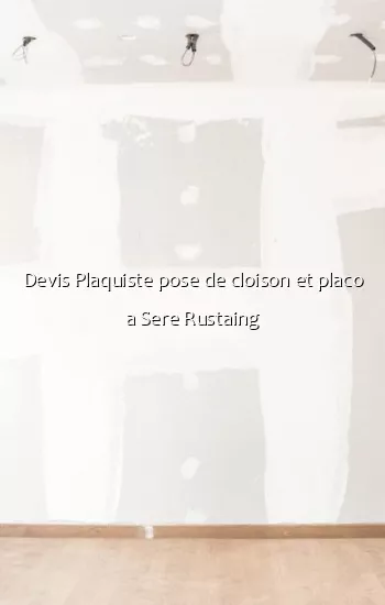 Devis Plaquiste pose de cloison et placo a Sere Rustaing