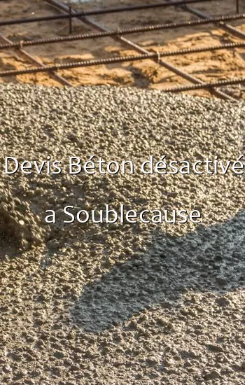 Devis Béton désactivé a Soublecause