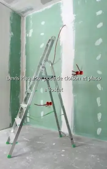Devis Plaquiste pose de cloison et placo a Tostat