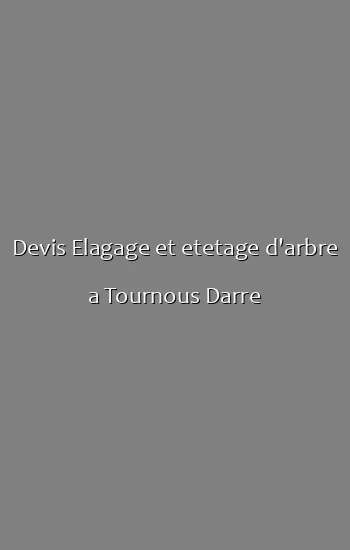 Devis Elagage et etetage d'arbre a Tournous Darre