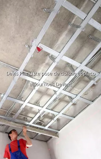 Devis Plaquiste pose de cloison et placo a Tournous Devant