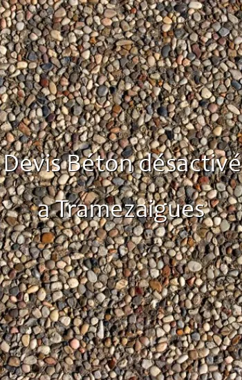 Devis Béton désactivé a Tramezaigues