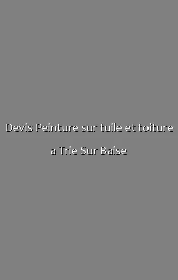 Devis Peinture sur tuile et toiture a Trie Sur Baise