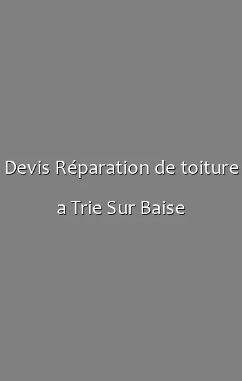 Devis Réparation de toiture a Trie Sur Baise