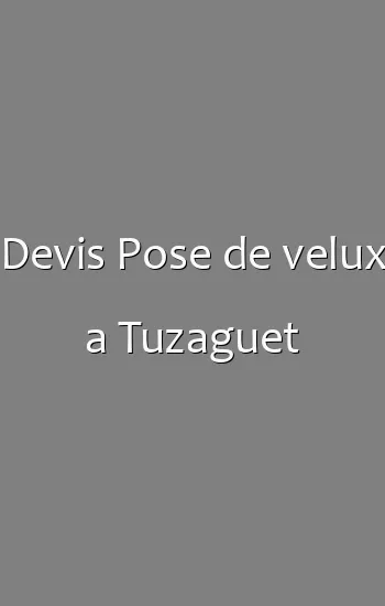 Devis Pose de velux a Tuzaguet