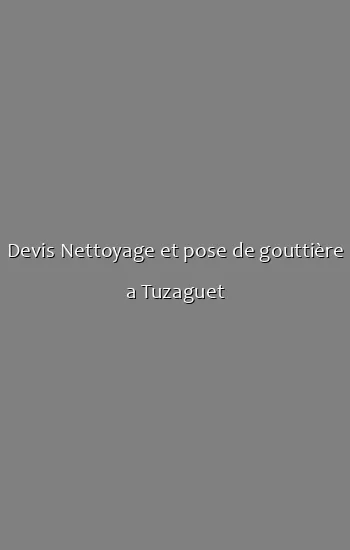 Devis Nettoyage et pose de gouttière a Tuzaguet