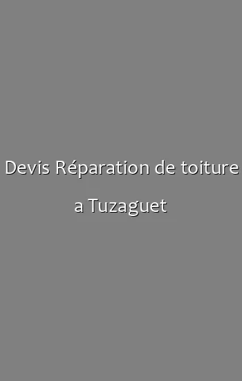 Devis Réparation de toiture a Tuzaguet