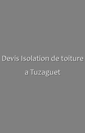 Devis Isolation de toiture a Tuzaguet