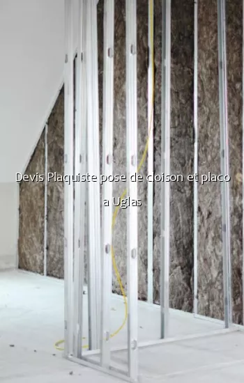 Devis Plaquiste pose de cloison et placo a Uglas