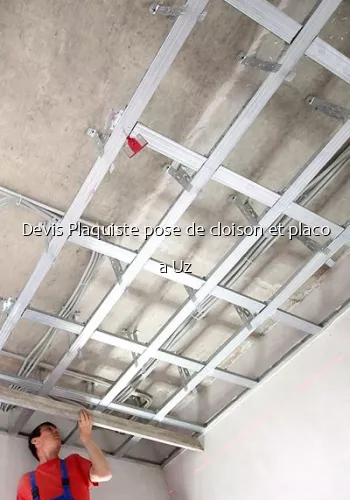 Devis Plaquiste pose de cloison et placo a Uz