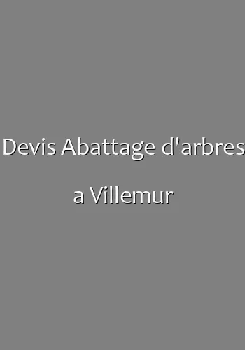 Devis Abattage d'arbres a Villemur