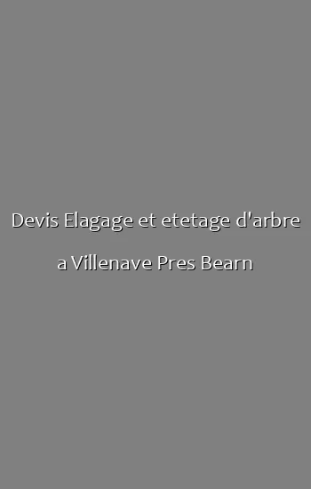 Devis Elagage et etetage d'arbre a Villenave Pres Bearn