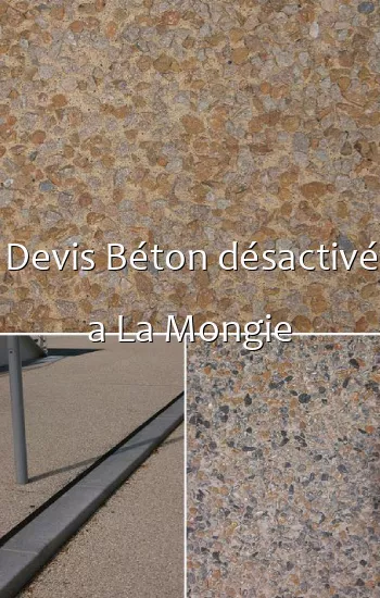 Devis Béton désactivé a La Mongie