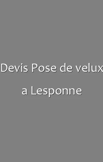 Devis Pose de velux a Lesponne