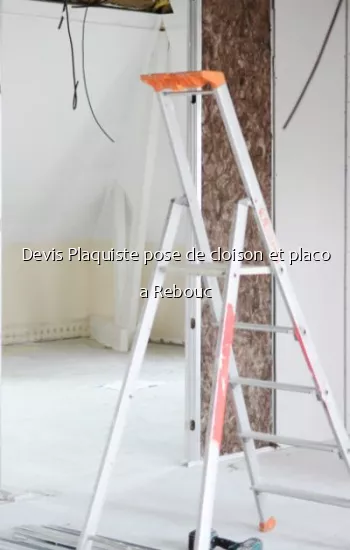 Devis Plaquiste pose de cloison et placo a Rebouc